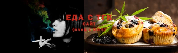 тгк Володарск