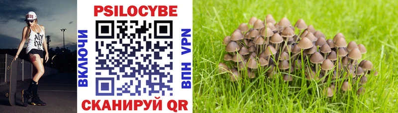 Псилоцибиновые грибы MAGIC MUSHROOMS  цена наркотик  Енисейск 